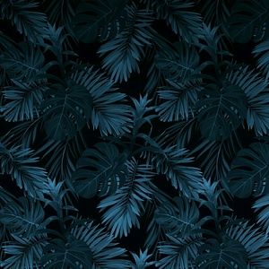 Meet your Posher, Juanita